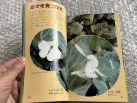 もんしろちょう  春といっしょにやってくる
小学館のこどもカラー文庫5