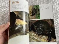 ヘルクレス  世界最大のかぶとむし
小学館こどもカラー文庫1