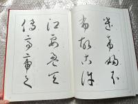 森田竹華 現代女流かな書道 作品集