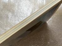 別冊新建築 芦原義信 日本現代建築家シリーズ6