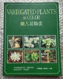 斑入植物集 VARIEGATED PLANTS in COLOR