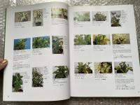 斑入植物集 VARIEGATED PLANTS in COLOR