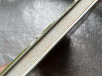 『図説生活環境と緑の機能』