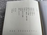 沖野岩三郎
