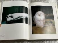 写真新世紀 - 10周年記念  
優秀賞受賞85名による受賞作品集 1991 ～ 2001