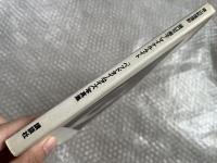 篠山紀信撮影「ベッドタイムアイズ」写真集  
樋口可南子/マイケル・ライト