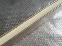 脾臓の謎  起源と進化