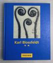 Karl Blossfeldt 写真