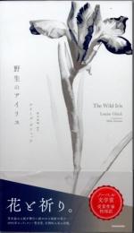 野生のアイリス