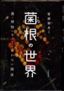 菌根の世界　菌と植物のきってもきれない関係