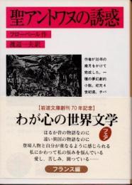 聖アントワヌの誘惑　改版