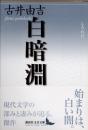 白暗淵