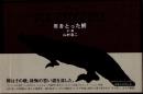 年をとった鰐