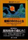 蟻塚の中のかぶと虫