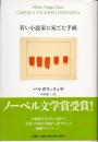 若い小説家に宛てた手紙