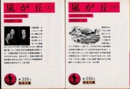 嵐が丘　上下2冊