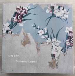 Alec Soth Gathered Leaves