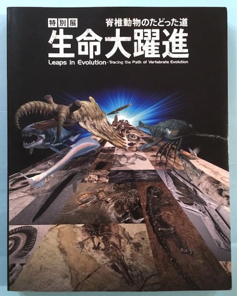 Images Of 大躍進 Japaneseclass Jp