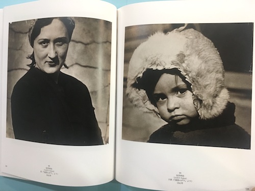 【中古・絶版】日本近代写真の成立と展開 東京都写真美術館 1995年 1冊 日本近代写真の成立と展開(東京都写真美術館 編) / 古本、中古本