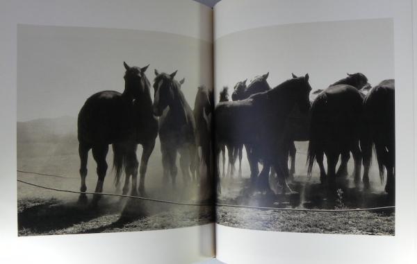 絶版】 MARKS:COWPUNCHER カート・マーカス 写真集 COWPUNCHER Kurt