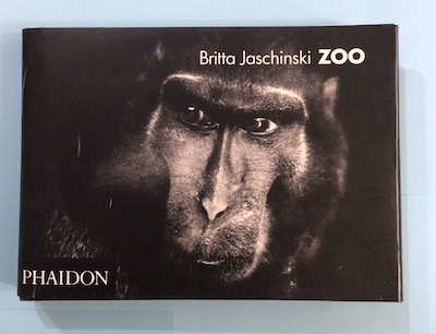 ZOO(Britta Jaschinski) / 古本、中古本、古書籍の通販は「日本の 