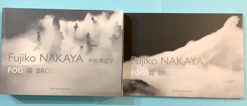 中谷芙二子 Fujiko Nakaya FOG 霧 BROUILLARD(中谷芙二子 Fujiko