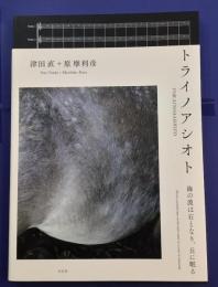 トライノアシオト　海の波は石となり、丘に眠る