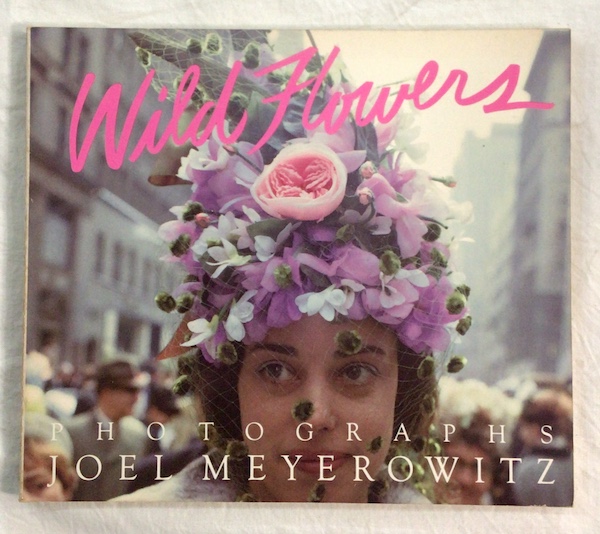 Joel Meyerowitz Wild flowers photographs(Joel Meyerowitz（ジョエル