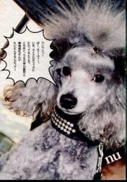 nu　vol.3　2008年