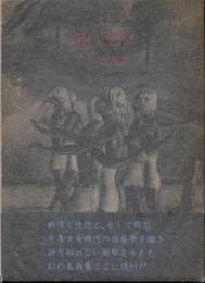 美しい日々　片山健画集