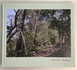 Heliotropic Landscape
