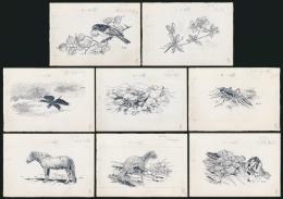 牧野四子吉 肉筆画稿8枚セット