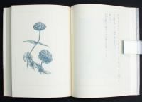 詩集 仄かなるもの