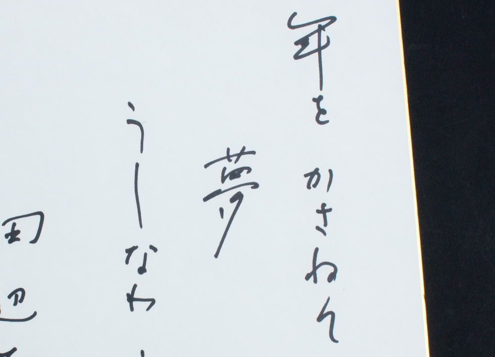 田辺聖子 色紙「年をかさねて夢うしなわず 