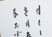 清水基吉色紙 「月さして■月庵の春おぼろ 基吉」