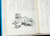 極北の犬 トヨン 少年少女・新しい世界の文学4