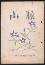 山脈 No.7