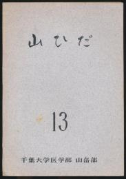 山ひだ 13号