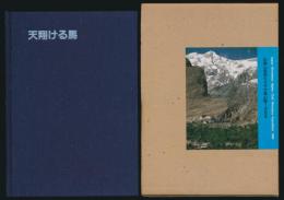 天翔ける馬／［カラコルム］ボイオハグール・ドウアン・アシールⅠ峰（7,329m）