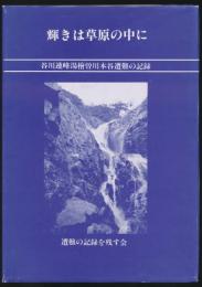 輝きは草原の中に 谷川連峰湯檜曽川本谷遭難の記録