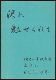 沢に魅せられて／柳又谷事故報告 永遠に…もんちの世界