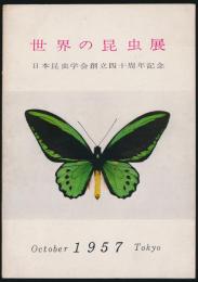 世界の昆虫展 日本昆虫学会創立40周年記念　