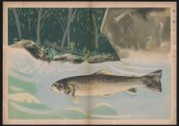 絵による自然科学叢書 淡水魚