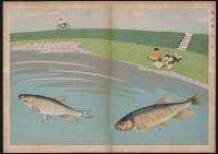 絵による自然科学叢書 淡水魚
