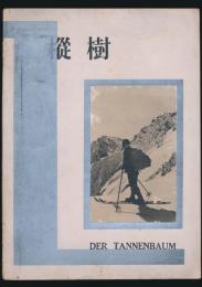 樅樹 4号