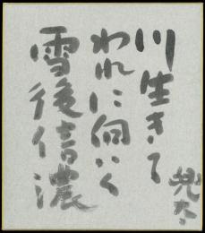 金子兜太色紙『川生きてわれに向いく雪後信濃 兜太』