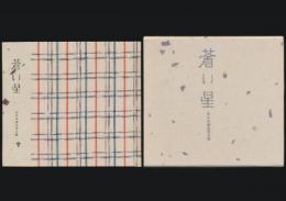蒼い星 安川茂雄追悼文集