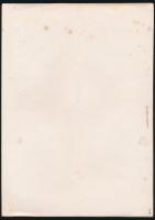 立教大学ヒマラヤ学術踏査隊計画書 1964年プレ・モンスーン