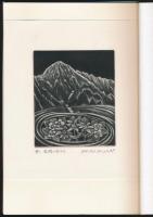 拾遺詩集 山と街と