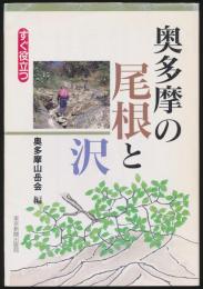 奥多摩の尾根と沢